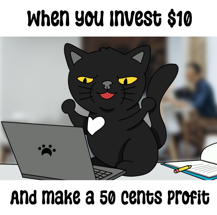 Myancat Invests