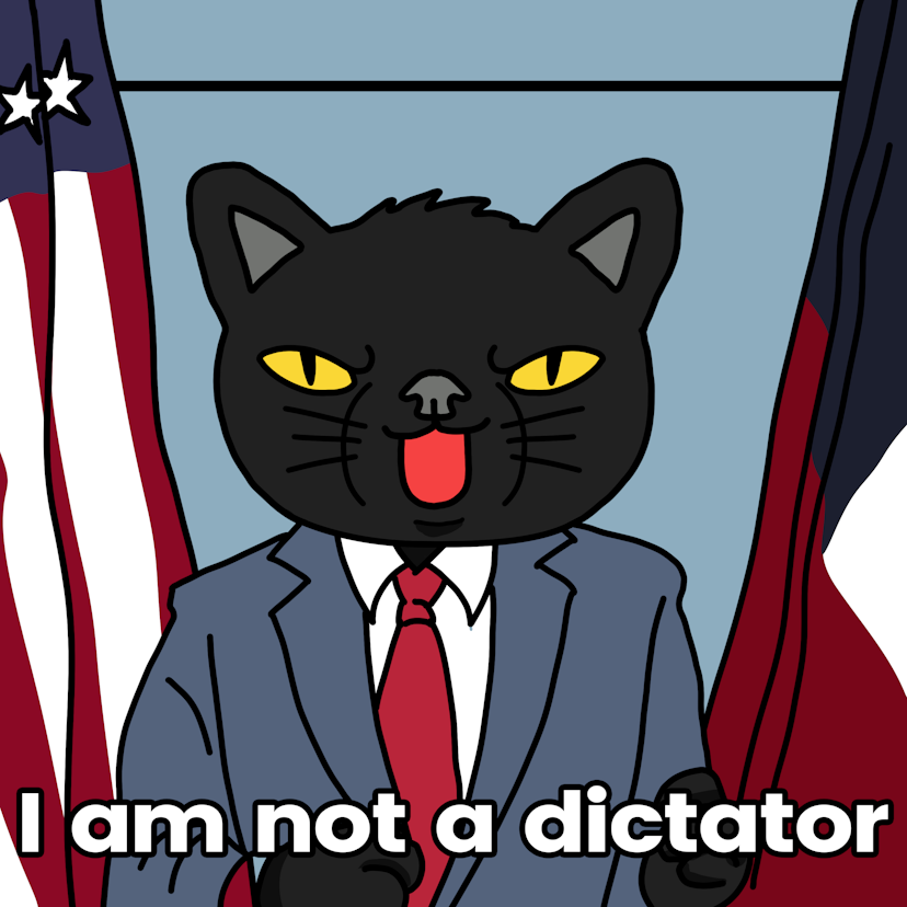 I am not a dictator