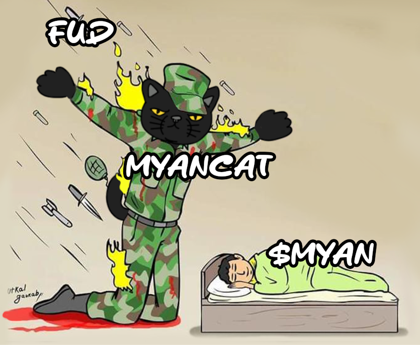 Myancat Protects